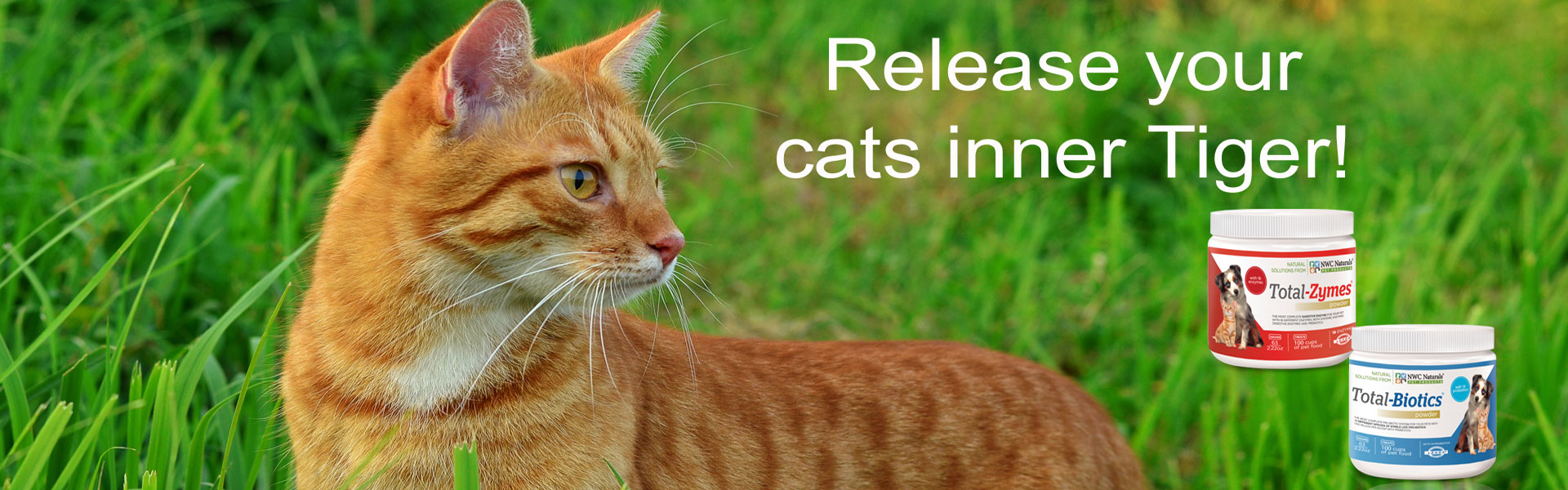 Pet Dog and Cat Probiotics Digestive Enzymes All Natural Supplements For Pets